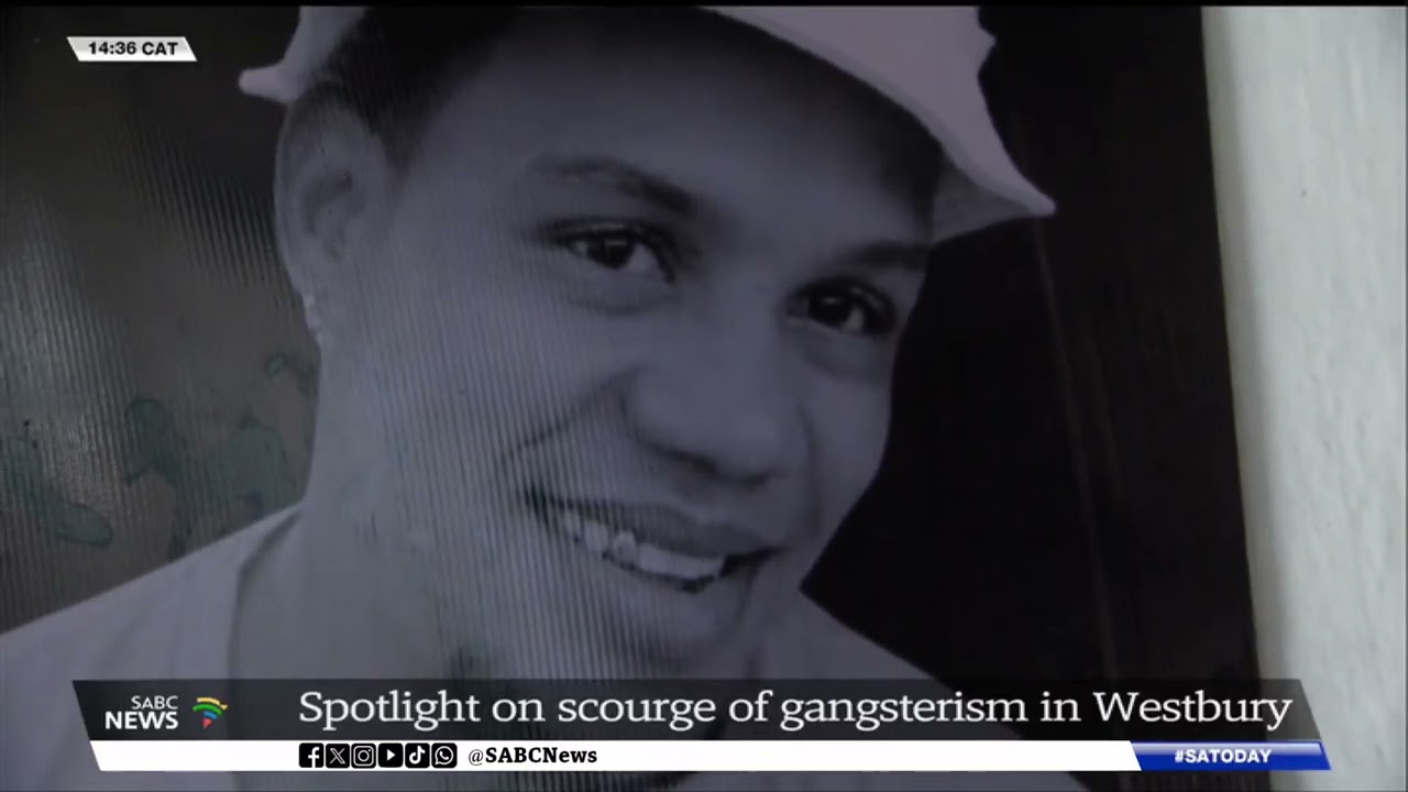 Spotlight on scourge of gangsterism in Westbury