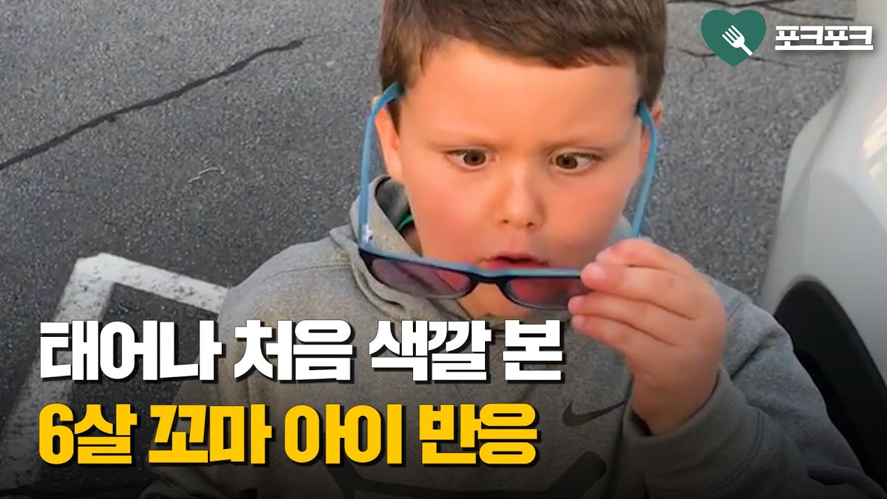 처음 색깔을 본 6살 꼬마 아이의 반응