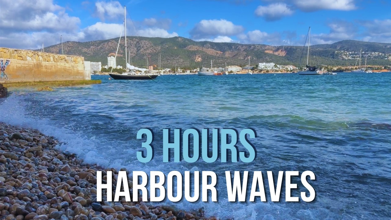 3 Hours Mallorca Harbour Waves | Yachts & City Ambience