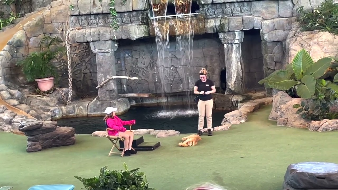 Animal Actors at Universal Orlando FULL SHOW 2024