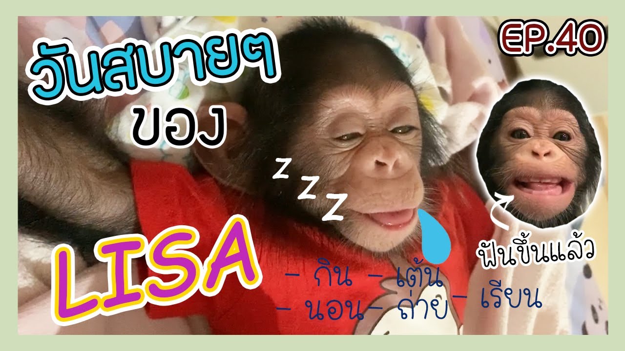 คุณหนูลิซ่ากับวันสบายๆของเขา+เรียน A-Z + babyshark !! EP.40
