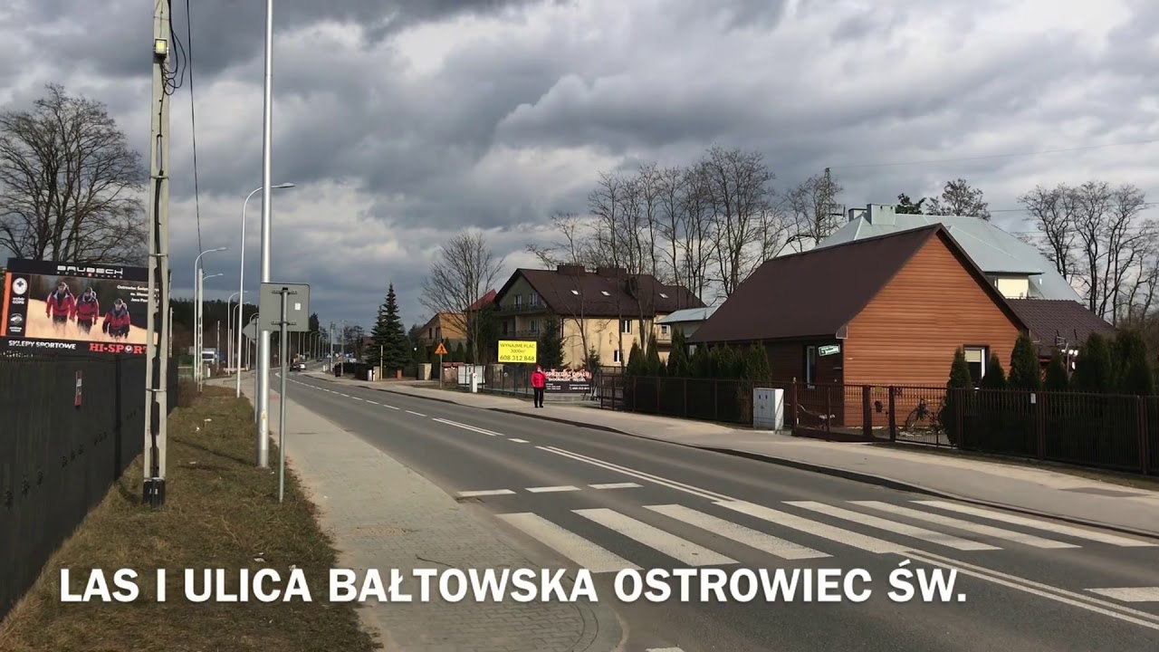Las i ulica Bałtowska. Ostrowiec Św.
