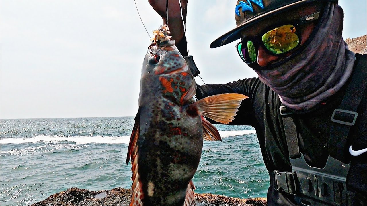 Pesca en las peñas de pucusana /wow!! Que sorpresa logramos observar unas ballenas.