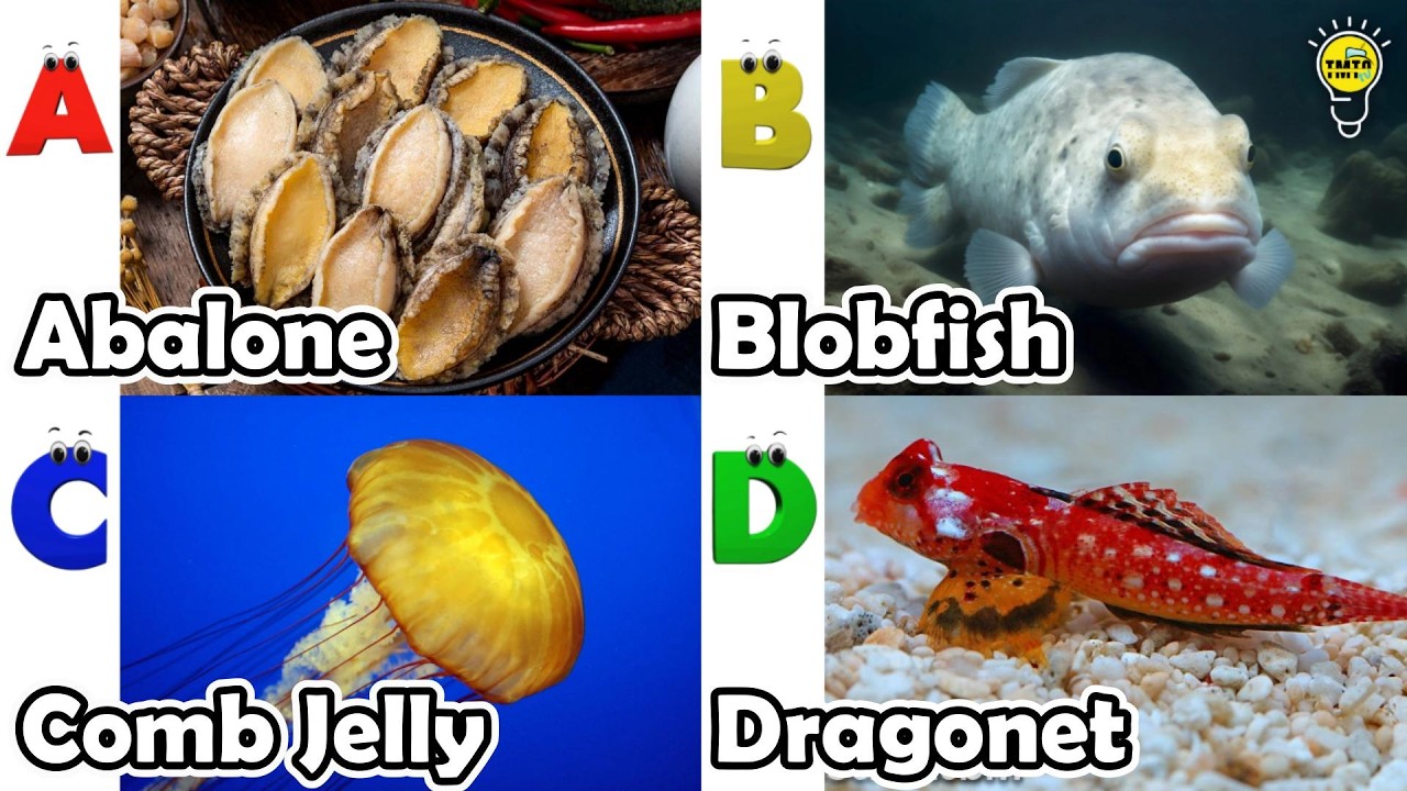 Learn Ocean Animal Names | ABC Sea Animals song | Most Popular Sea Creatures | Alphabets Kids Song