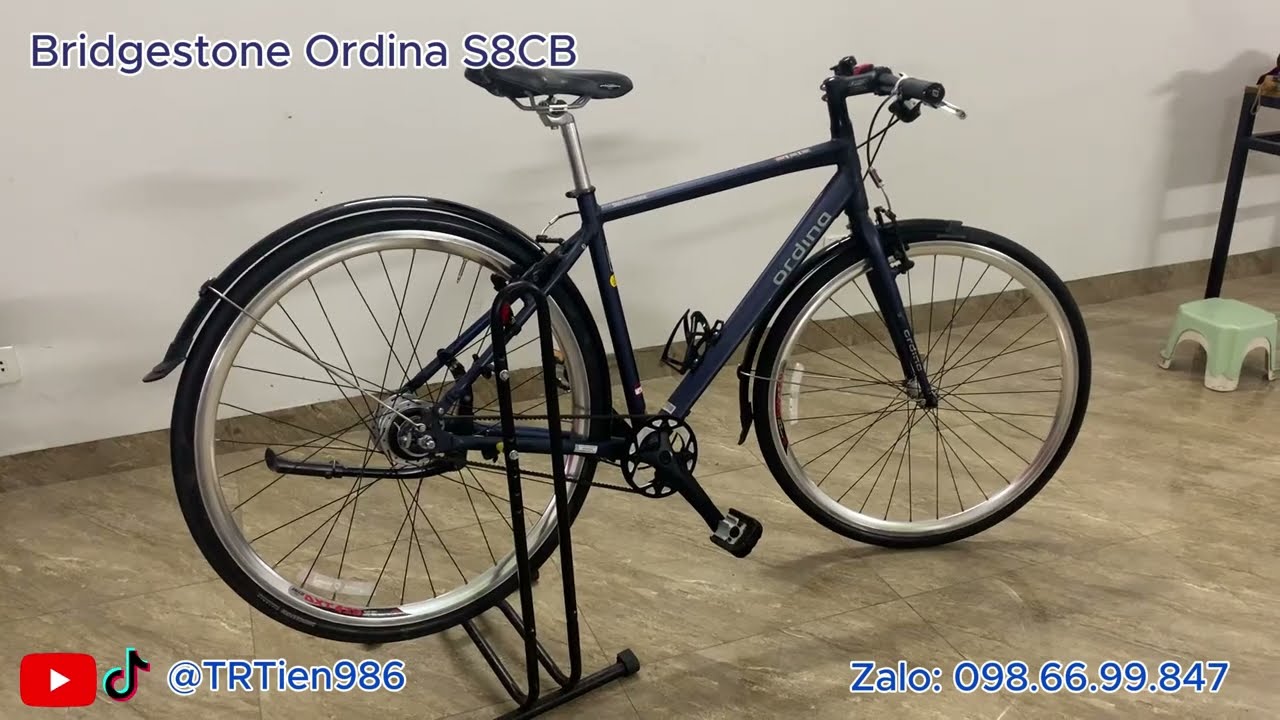 Bridgestone Ordina S8CB – đùm 8 số, truyền động dây curoa.
