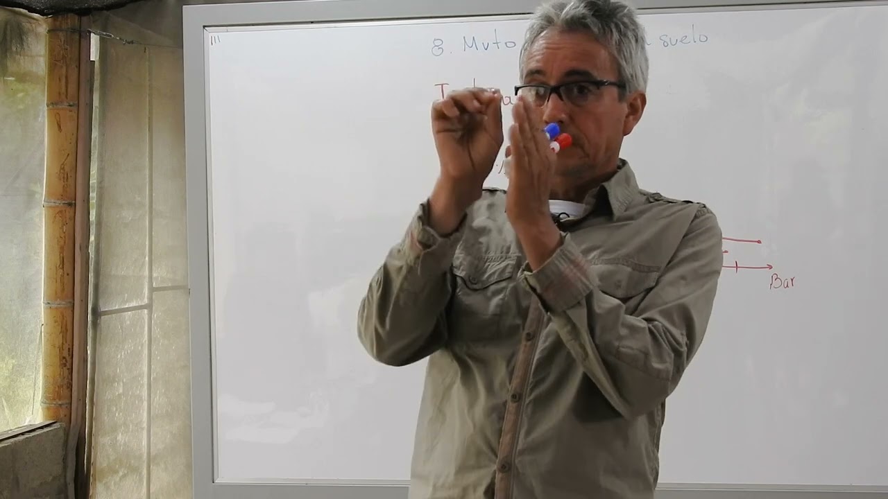 VIDEO 16. MOVIMIENTO DEL AGUA EN EL SUELO