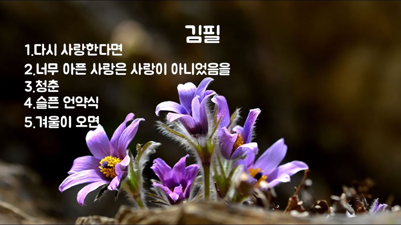 김필 1 : 다시 사랑한다면 / 너무 아픈 사랑은 사랑이 아니었음을 / 청춘 / 슬픈 언약식 / 겨울이 오면