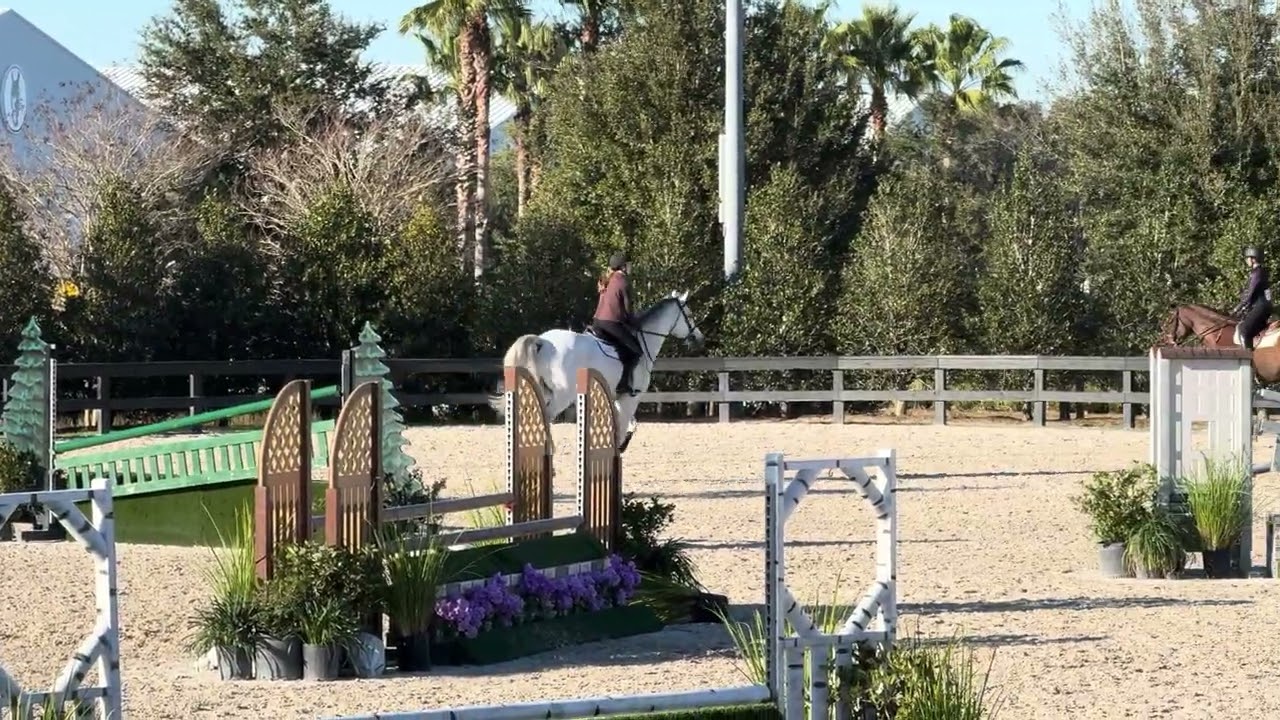 111. 2026 Lesson on Erios De Caryan - Olivia Growcock