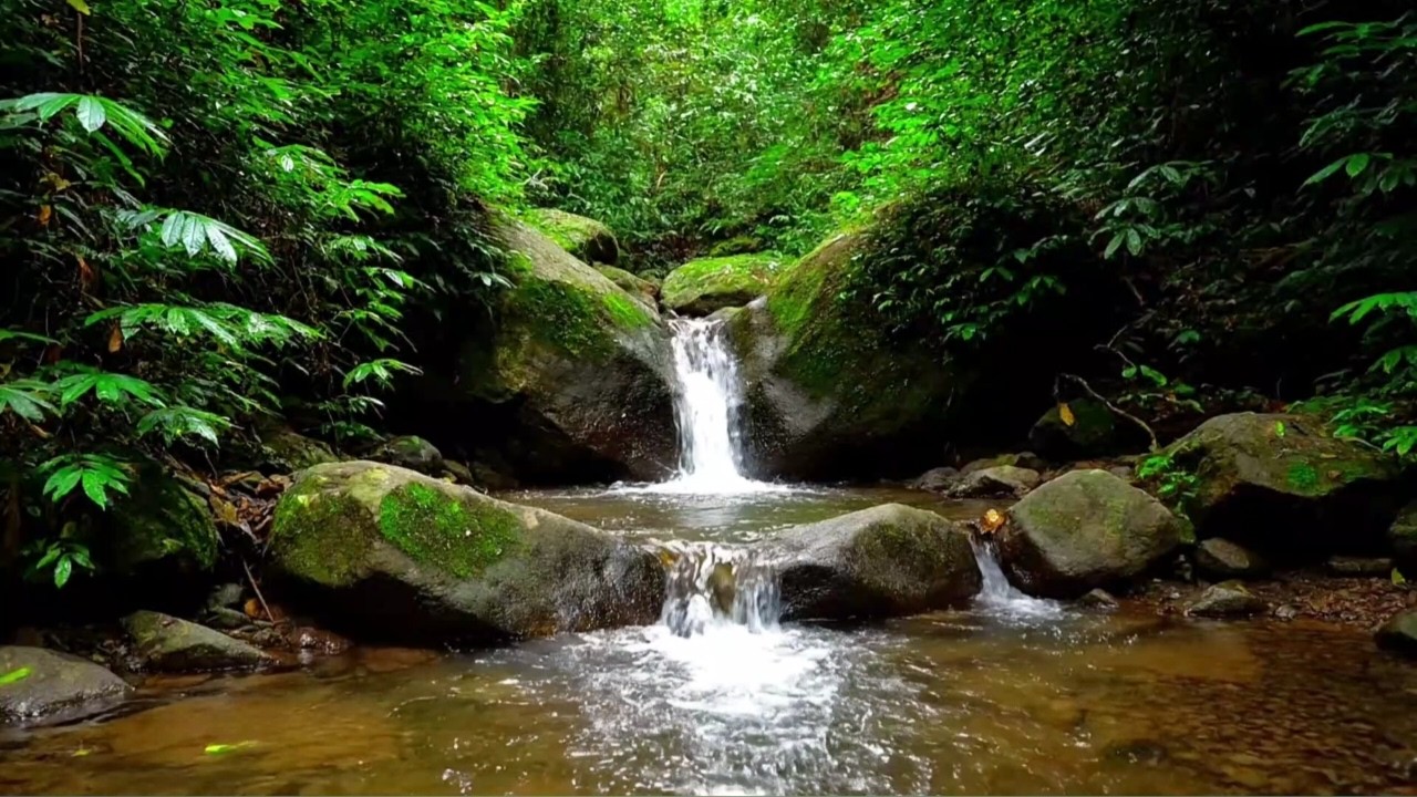 GENTLE RIVER SOUNDS ASMR | RELAXING WATER AMBIENCE TO IMPROVE SLEEP AND STRESS
