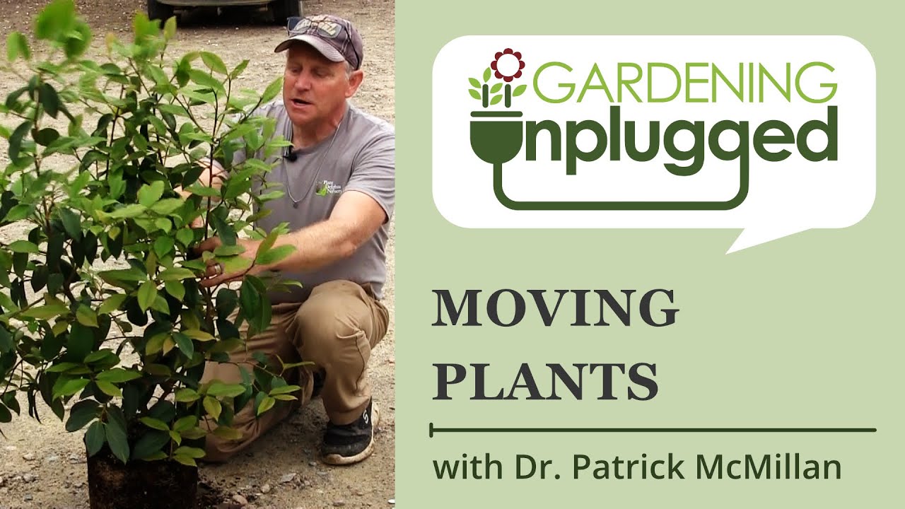 Gardening Unplugged - Moving Plants with Dr. Patrick McMillan (Do's and Don'ts)