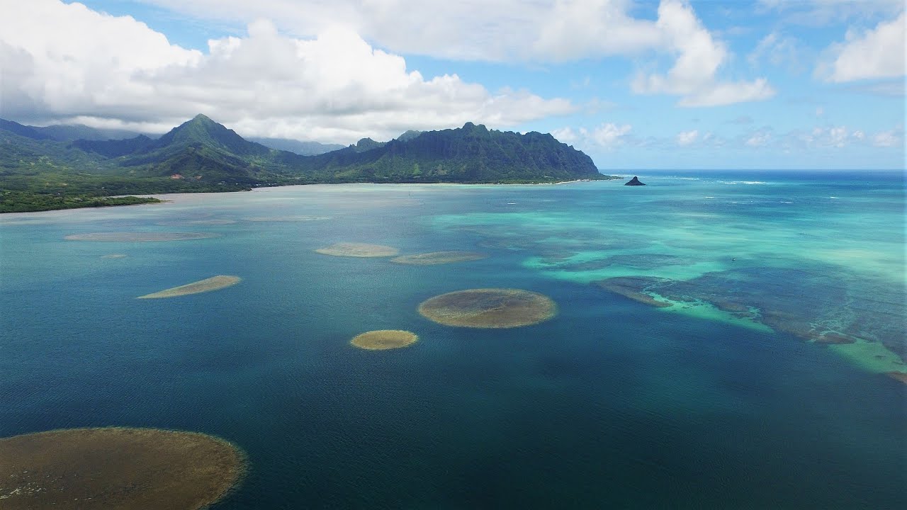 Oahu The Gathering Place 4K