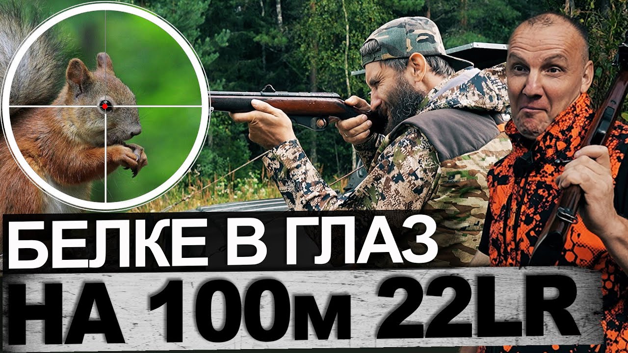 Белке в глаз на 100 м из ТОЗ -78-04М
