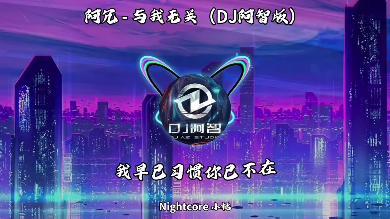 阿冗 - 与我无关（DJ阿智版）『早已习惯你已不在 一个人的空白假装释怀 』【高音质/动态歌词】