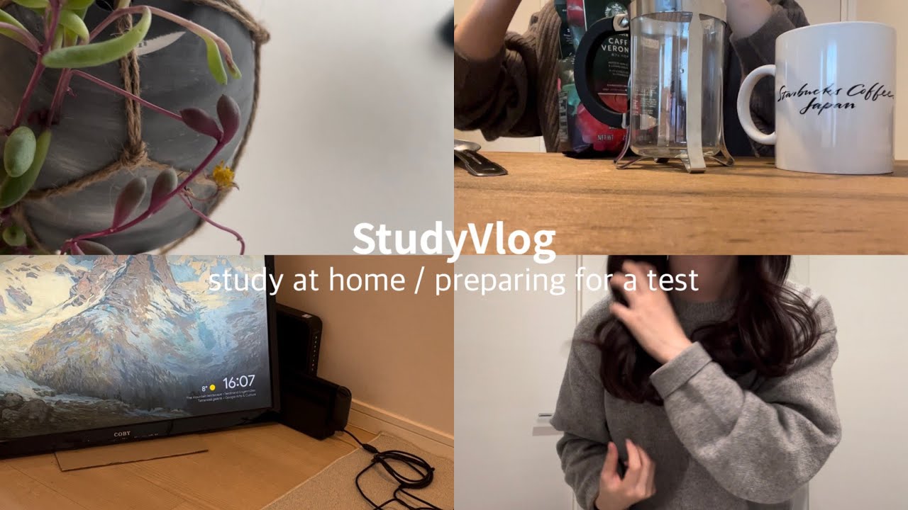 【StudyVlog】ひたすら家で勉強する大学生の3日間🥱🔥| FP試験 | 勉強vlog | 試験前の過ごし方🍃 | my productive days ✍🏻