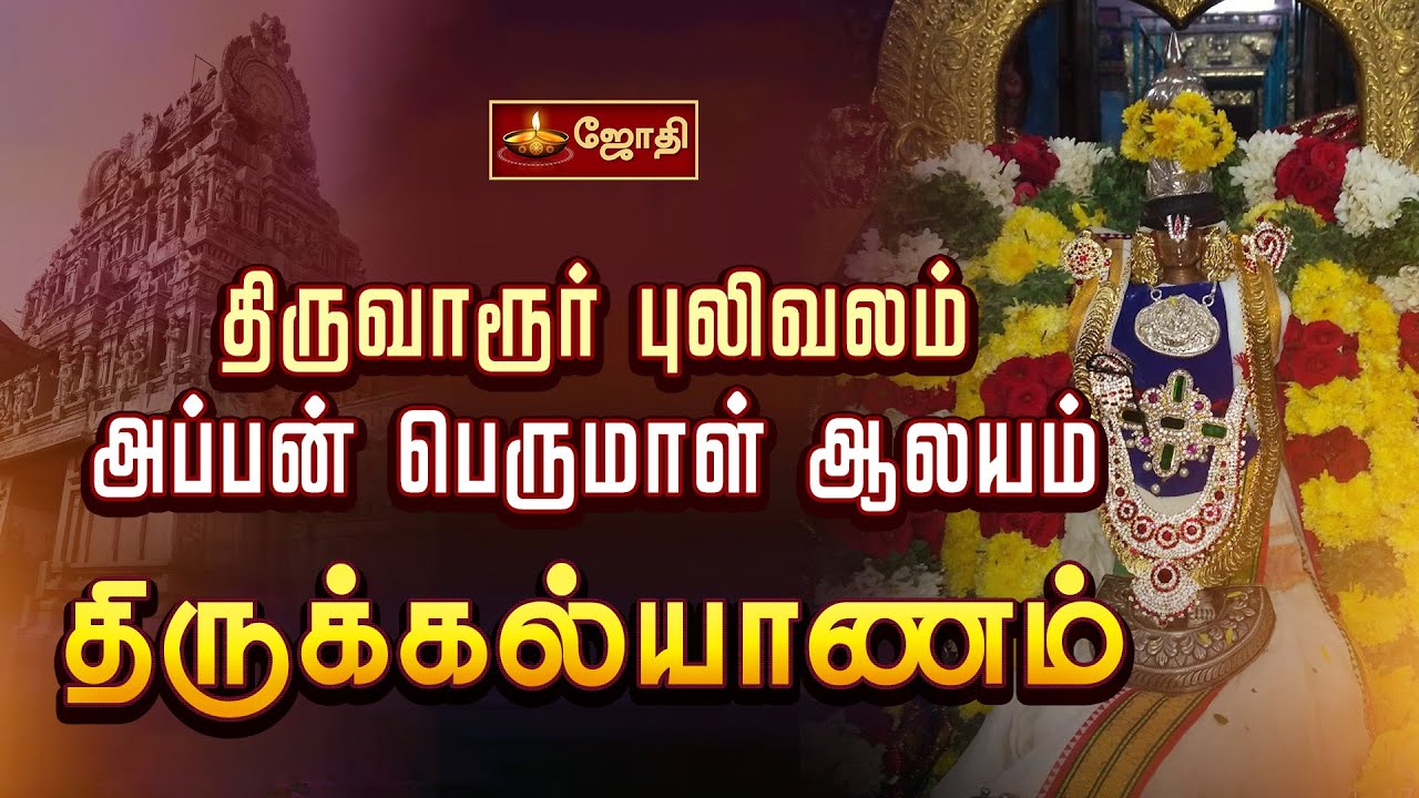 திருவாரூர் புலிவலம் அப்பன் பெருமாள் ஆலயம் திருக்கல்யாணம் | Tiruvarur Pulivalam Appan Perumal