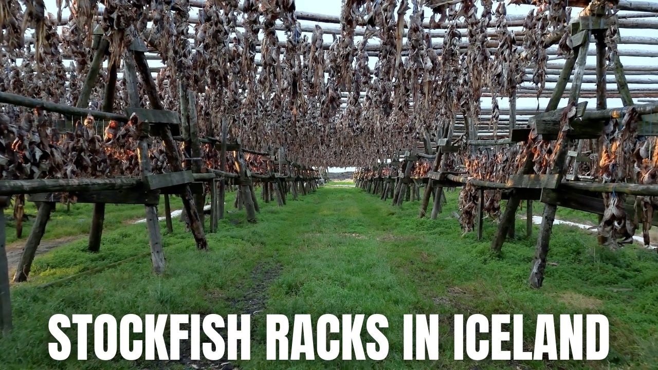 Fish Racks For Icelandic Stockfish - Just One Of My Weird Subjects