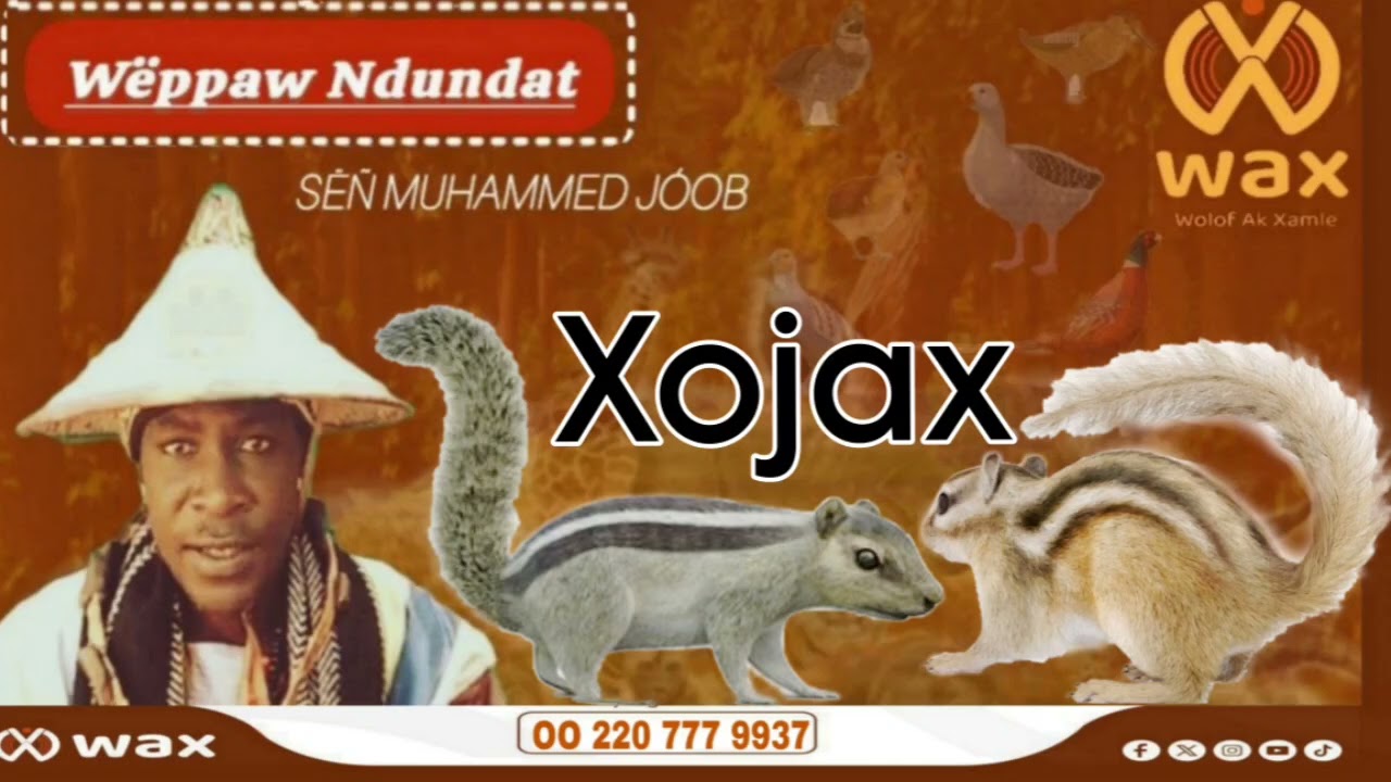 Xojax ak li ci aju