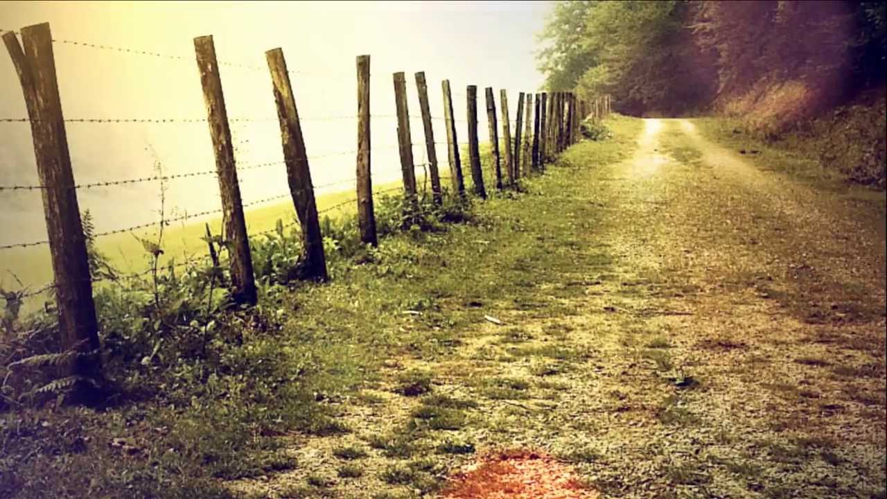 Reflexões sobre a paz