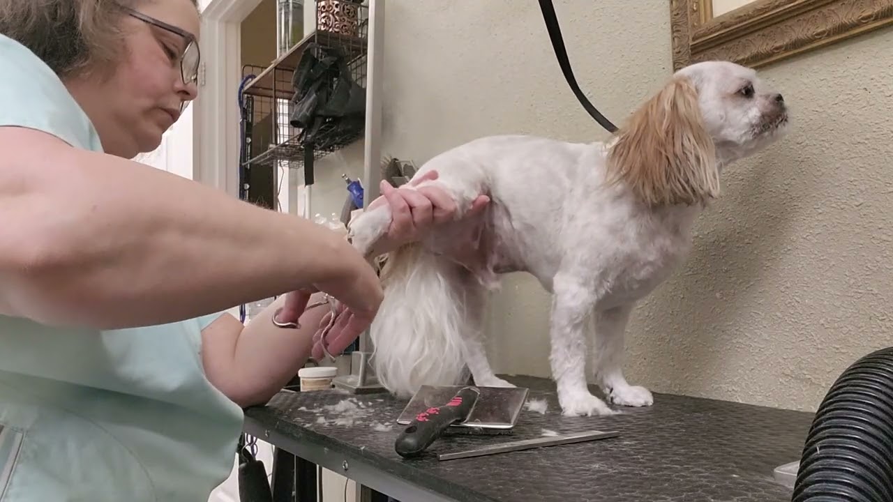 Grooming Stash