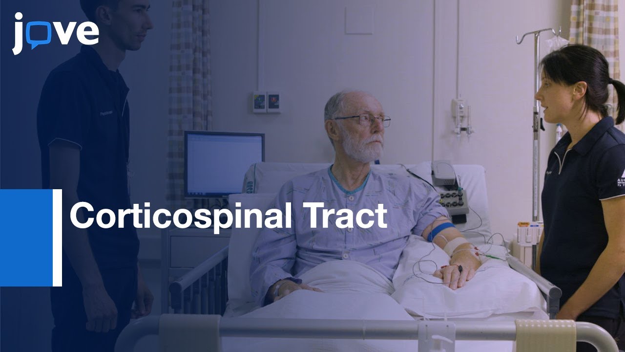 Corticospinal Tract Functional Status within 1 week of stroke | Protocol Preview