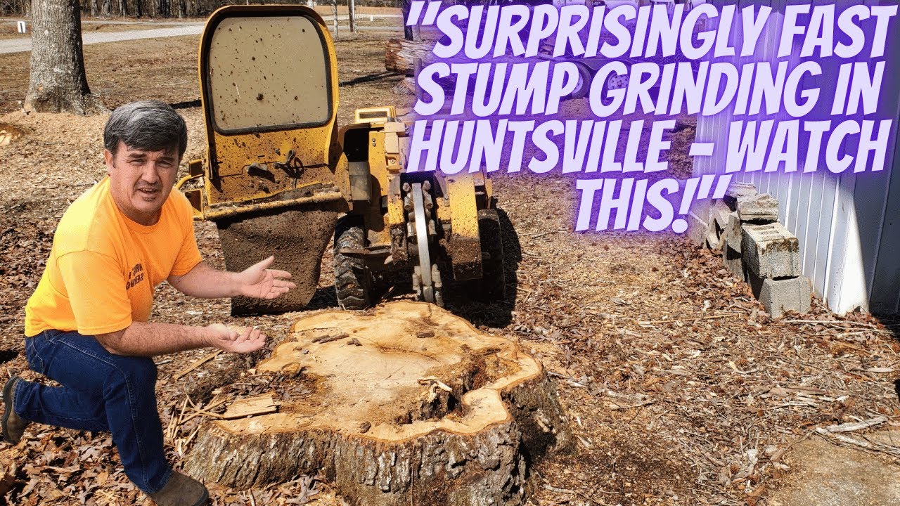Surprisingly Fast Stump Grinding in Huntsville Today!