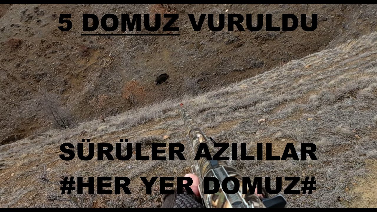 &Ccedil;ok FAZLA DOMUZ G&ouml;rd&uuml;k. 5 Domuz Vuruldu. Wild Boar Hunting 2026.
