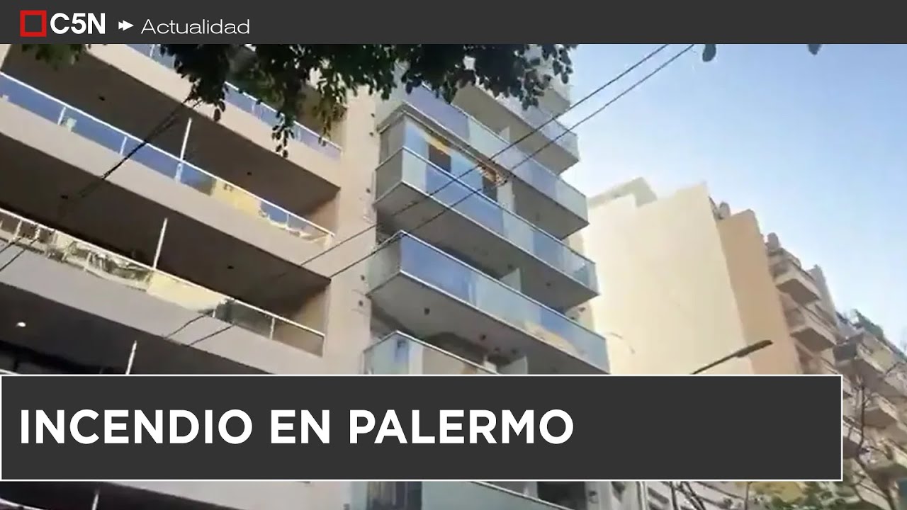 INCENDIO en PALERMO: EVACUARON a los VECINOS y RESCATARON un CHIMANGO de la PISCINA del EDIFICIO