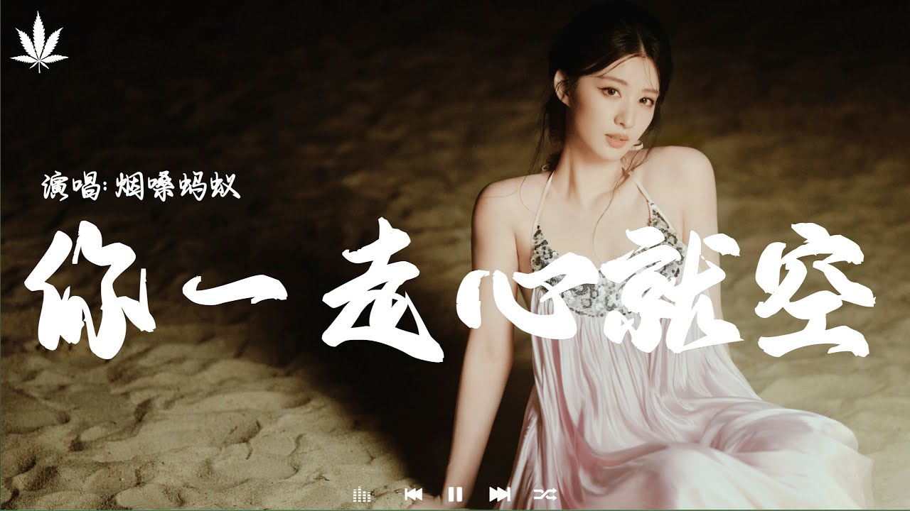 你一走心就空 (DJ版) - 烟嗓蚂蚁 | Ni Yi Zou Xin Jiu Kong  -  Yan Sang Ma Yi『你一走啊心就空我一想你心就痛，那么爱你你却给我一场梦。』【動態歌詞MV】