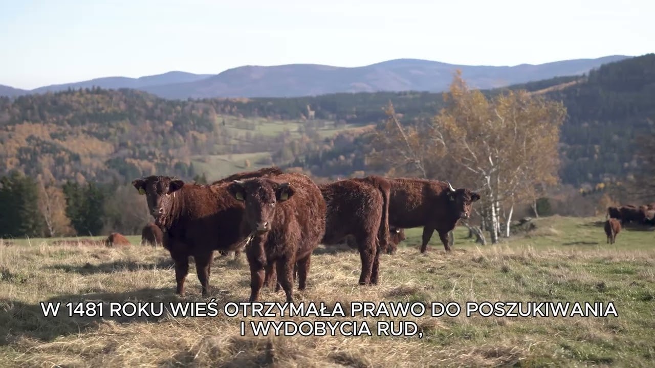 Bystrym Szlakiem – Odcinek 17 Marcinków & Pasterskie Skały
