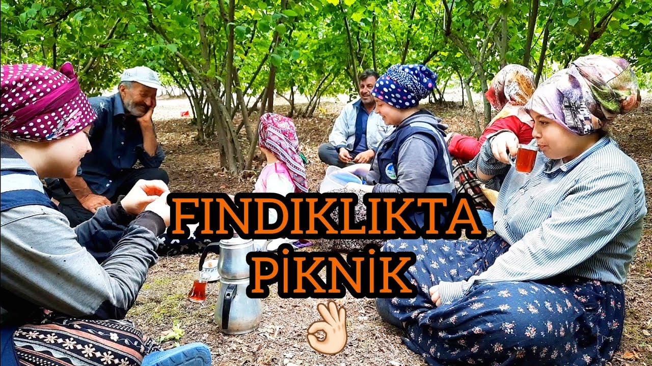 FINDIKLIK HALI GİBİ OLDU 👍🏻 BİRLİKTEN KUVVET DOĞAR 💪🏻