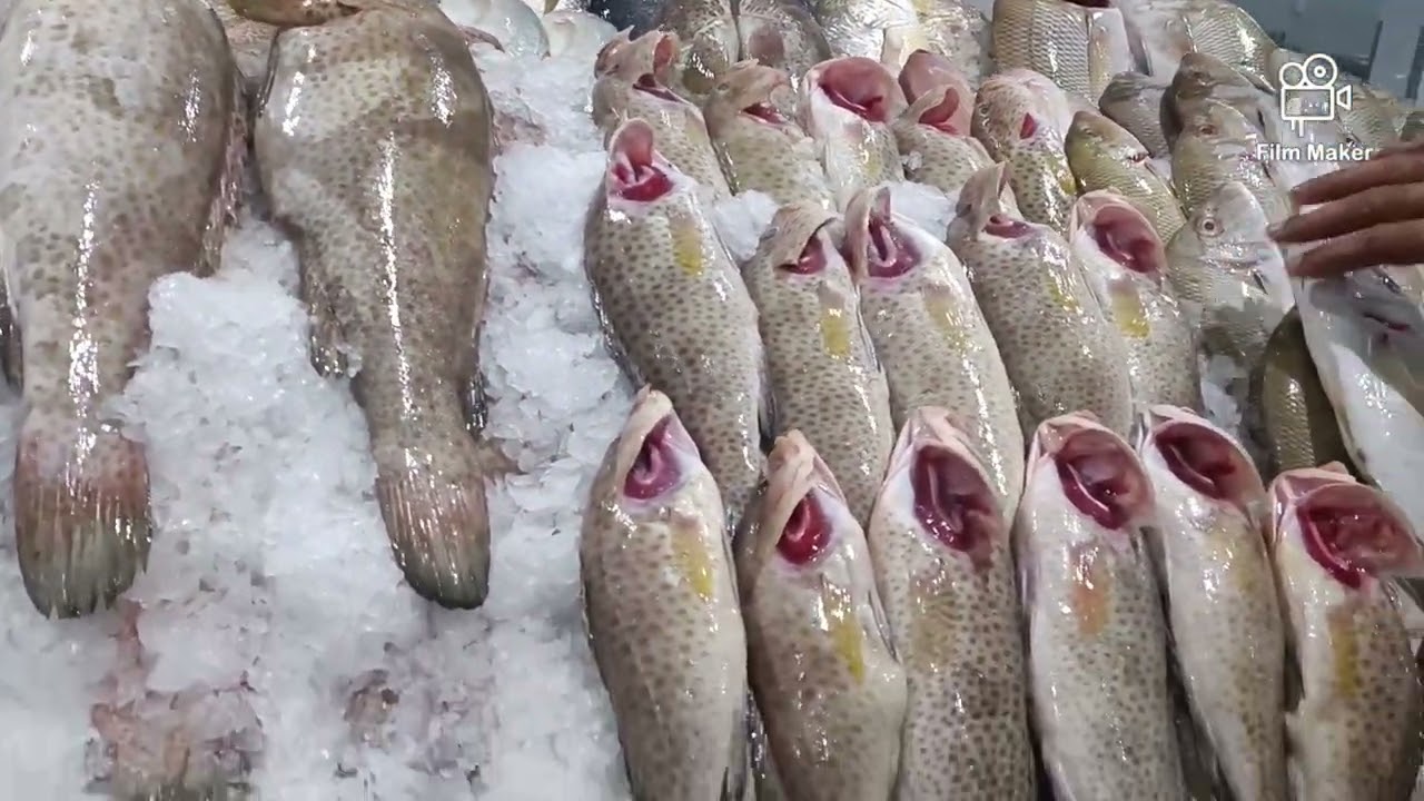 #visit to #dubai #waterfrontmarket #fish #market