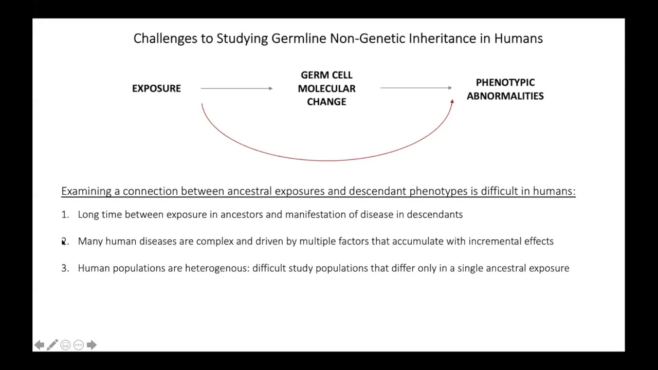 Evidence for Germline Non-genetic Inheritance of Human Phenotypes and Diseases