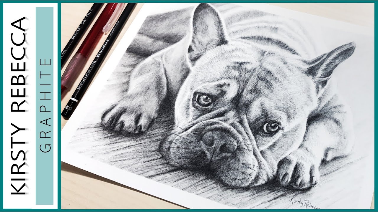 How to draw a FRENCH BULLDOG using GRAPHITE! // Step by step tutorial!