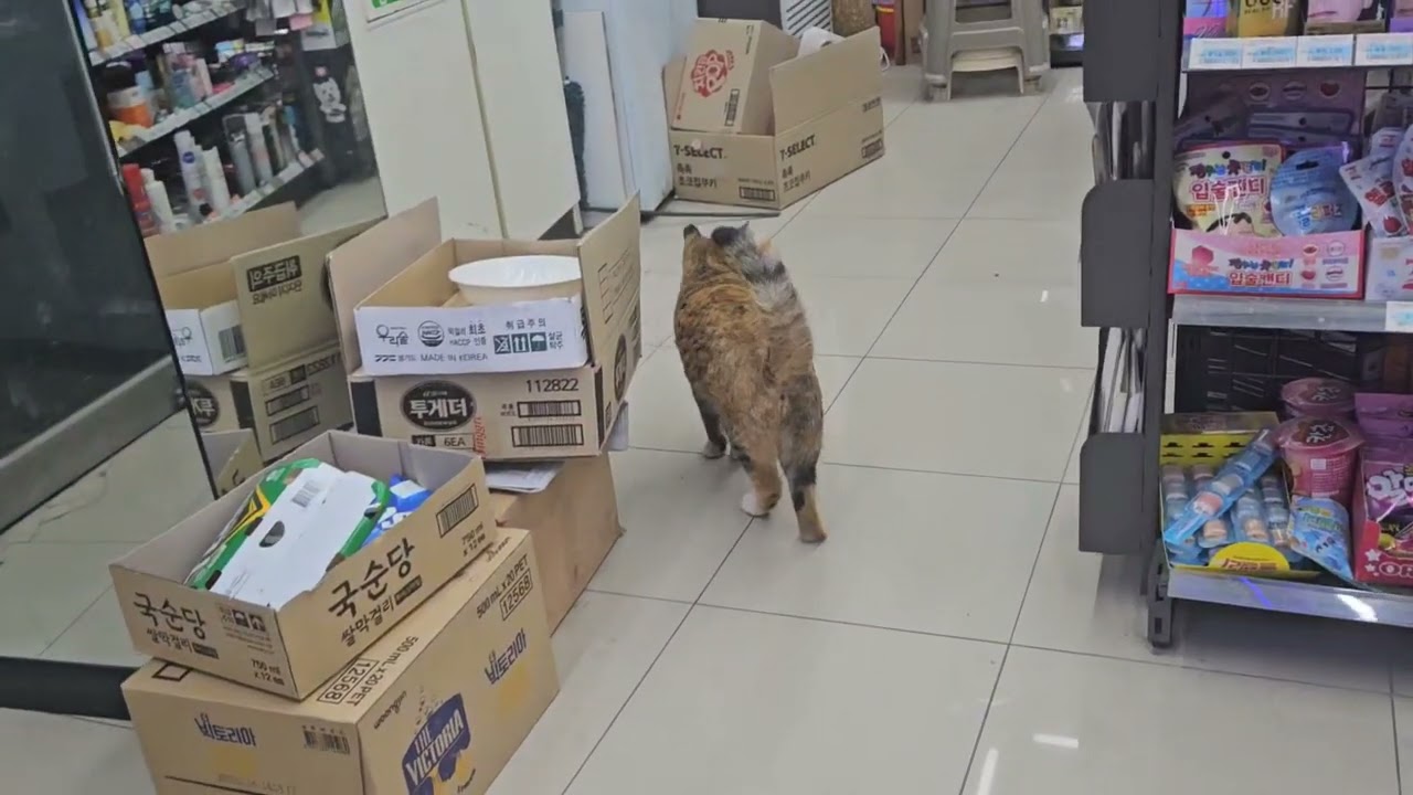 엄마를사랑하자.제발
