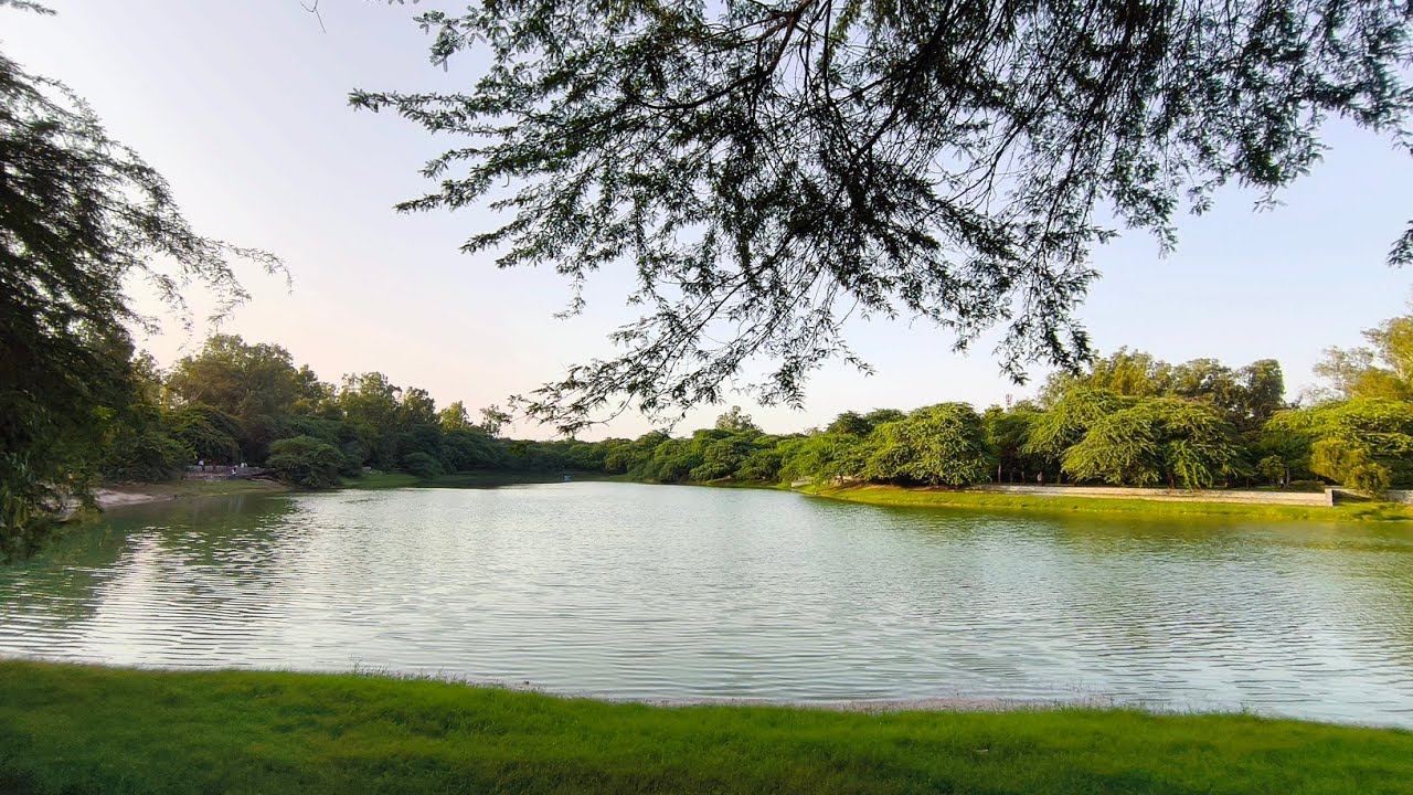 Relaxing Lake Scene | Calm & Serene 🌿