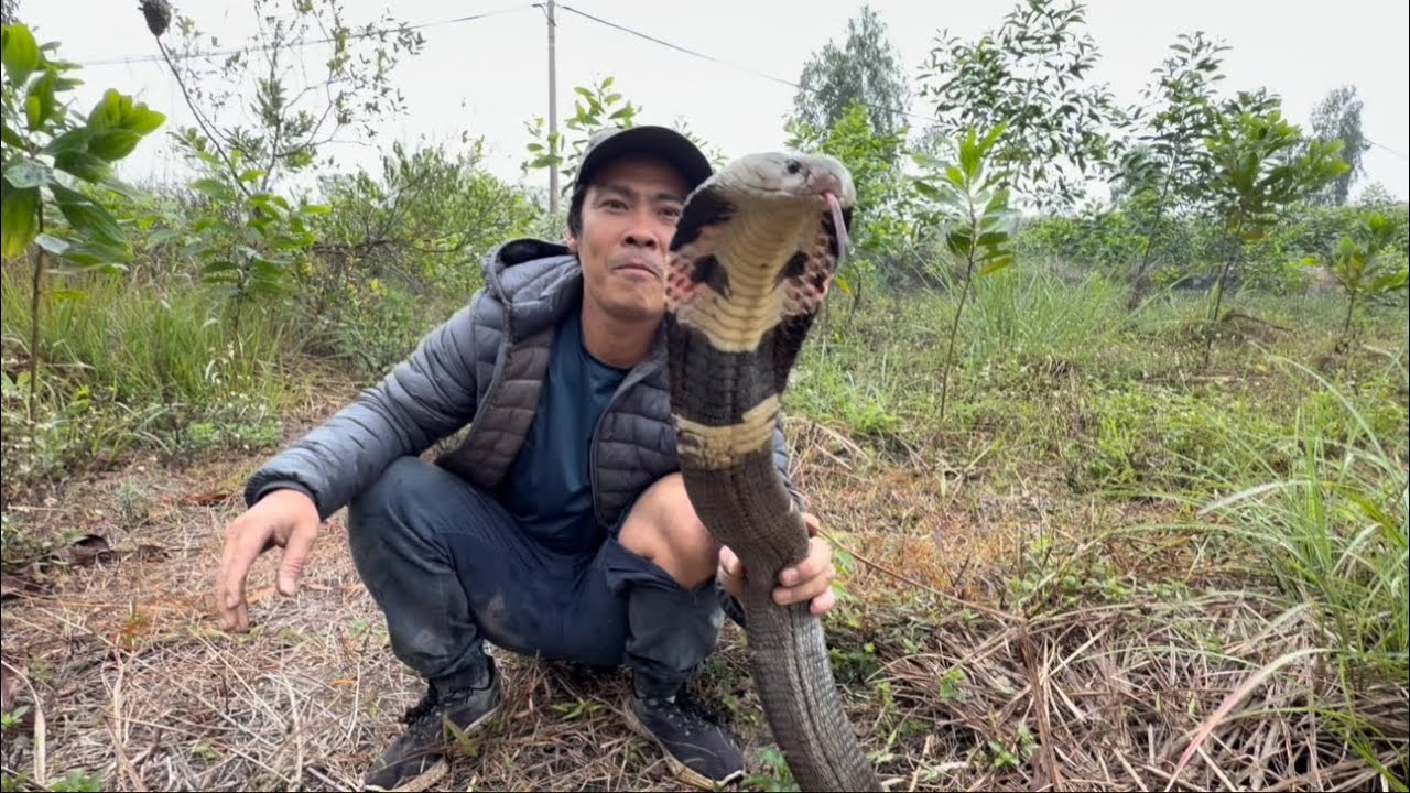 Săn Đêm Cùng  Max Thợ Săn Số 1 Việt Nam