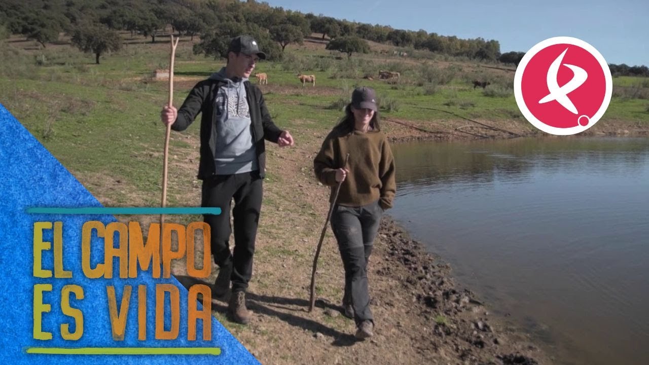 Jose visita por sorpresa la explotación de María | El campo es vida