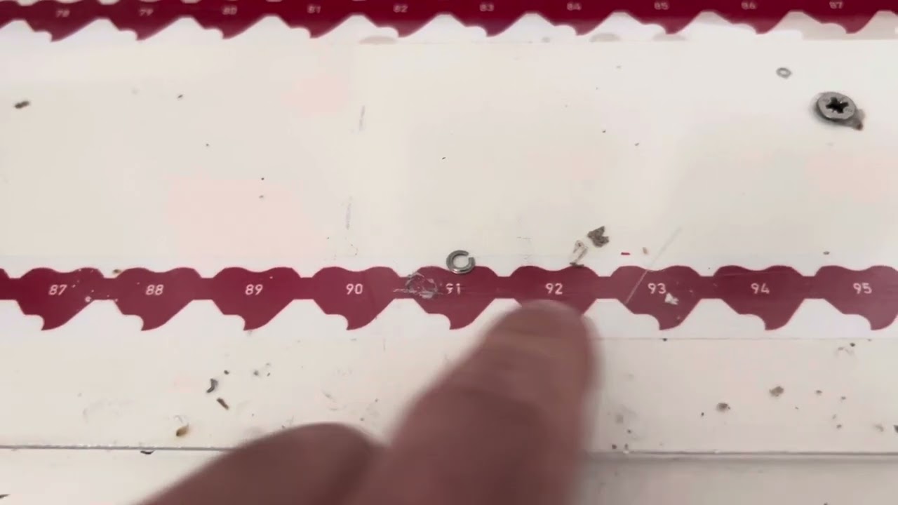 Panther Chainsaw Chain Scale