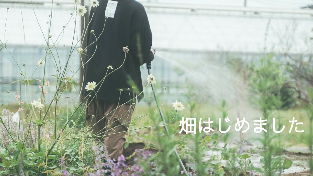 Florist vlog   【畑はじめました】