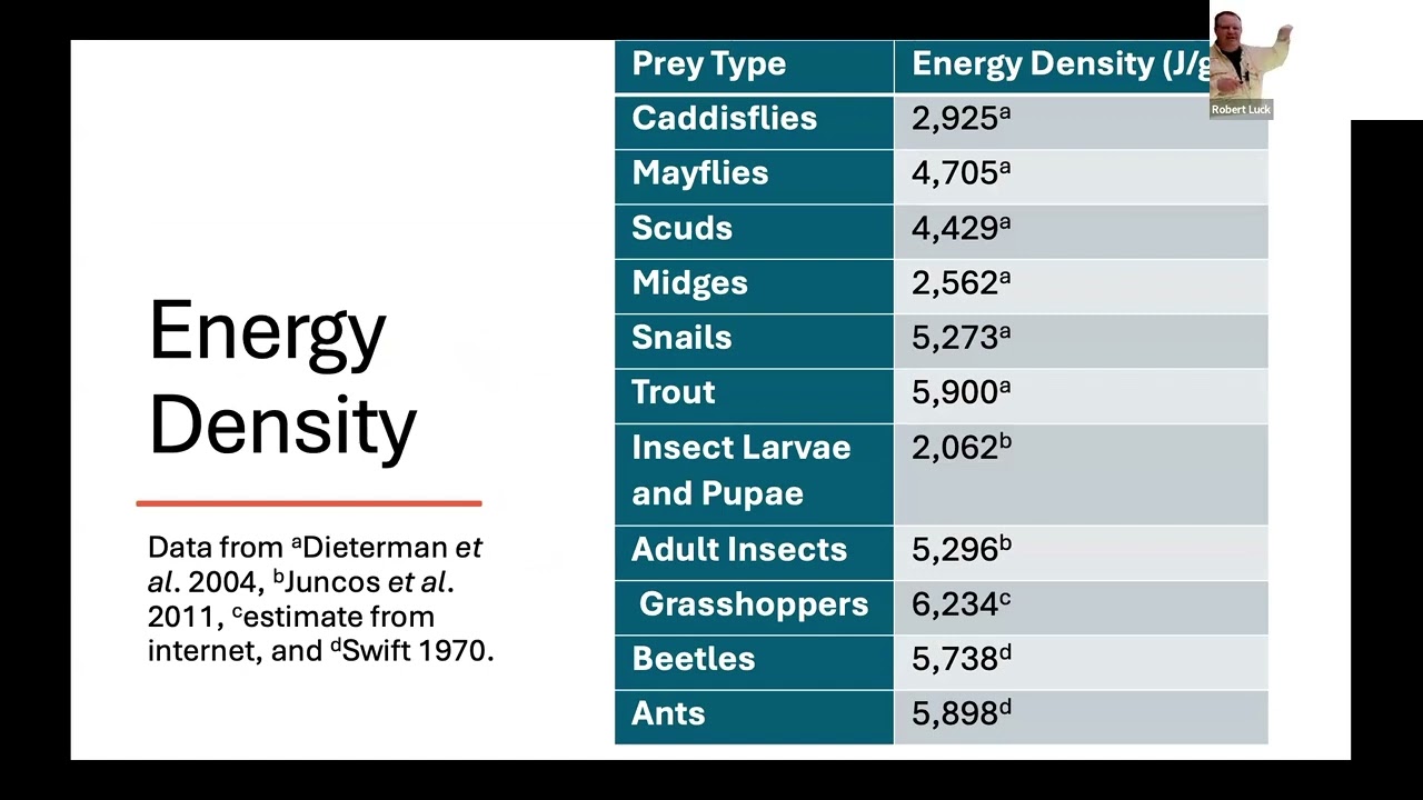Terrestrial Insects with Jason Freund: 2025 TCTU May Chapter Meeting
