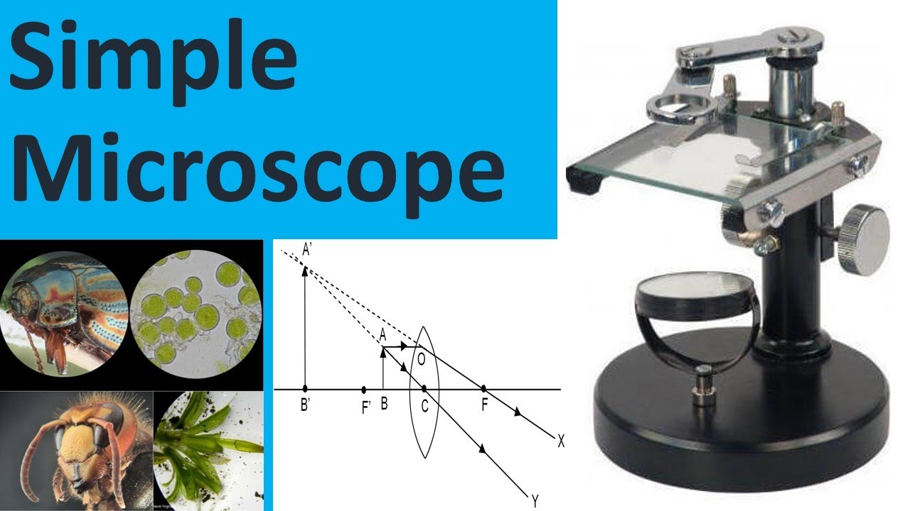 Simple Microscope