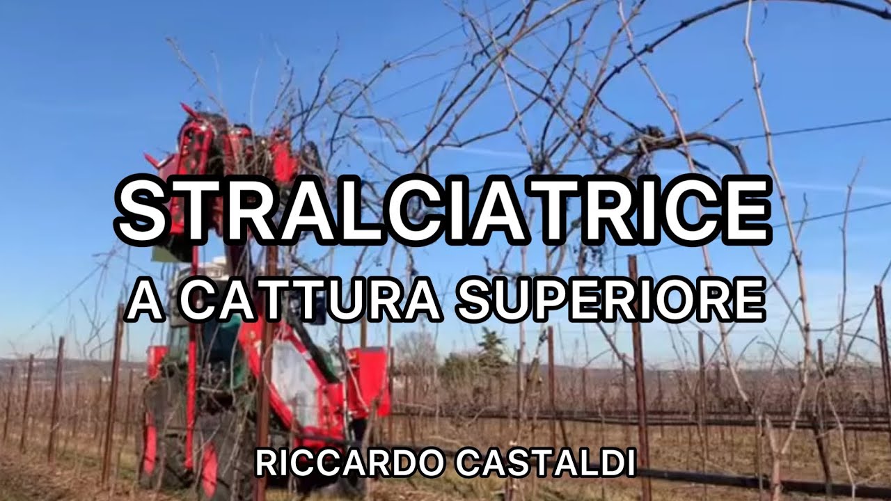 Vite. La stralciatrice - caso 1