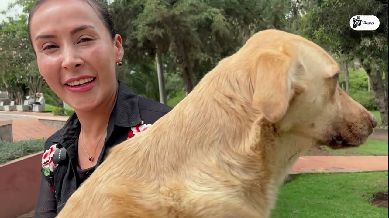 Ukumari Reporta: “La calle duele, el parque cura” 💓🐶