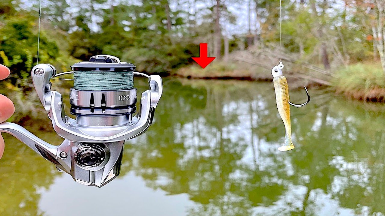 Fishing a Swimbait in this Creek When I Caught This! *Delicious Catch & Cook*