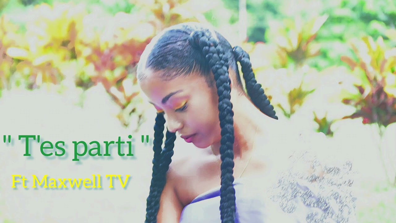 NMJ x Maxwell TV - T'es parti (audio officiel)