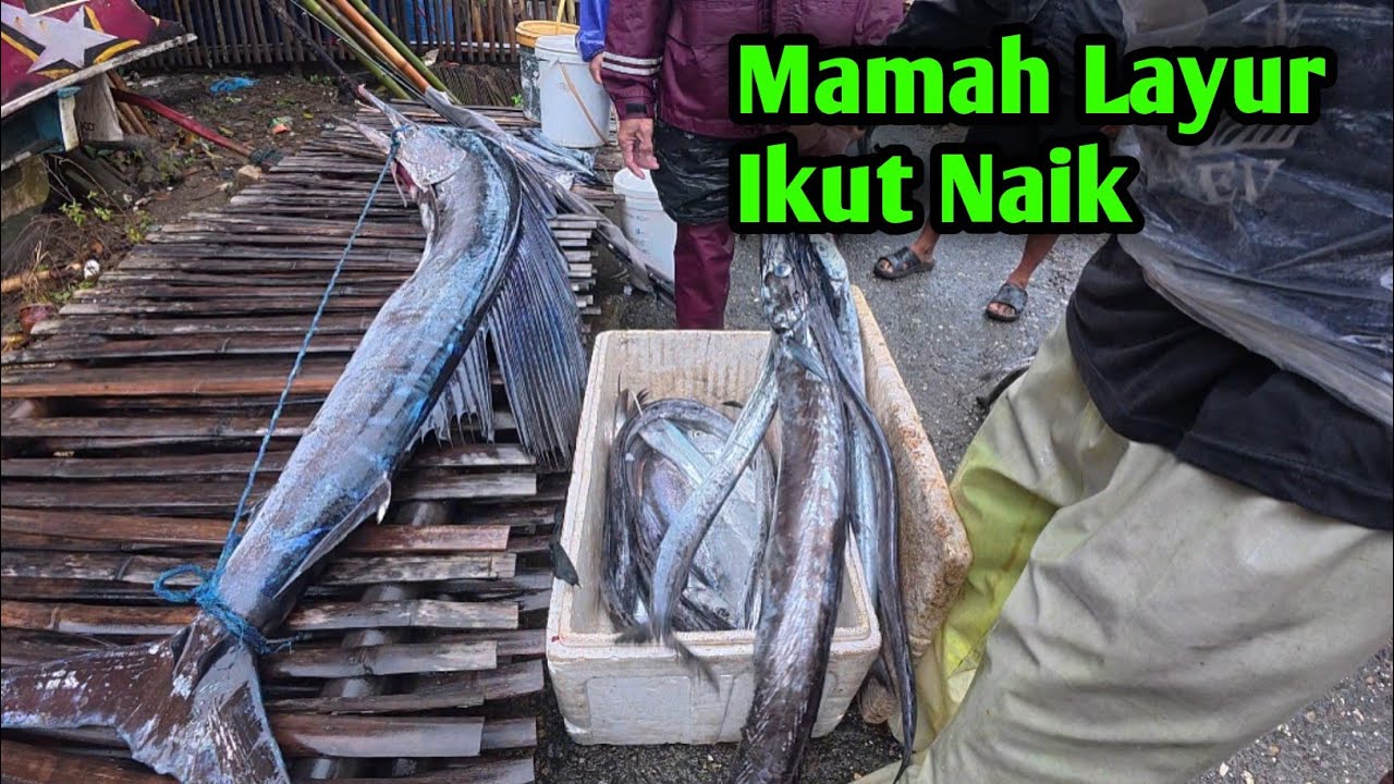 Edisi Marcopolo Mancing Di Badong Yanto Fishing Sebelum Lebaran