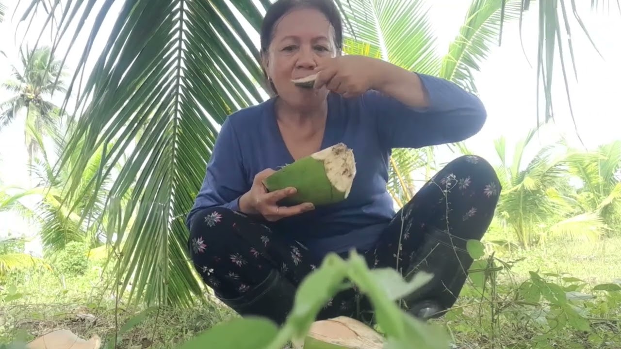 Pagkain ng Baboy giniling na kamoting kahoy#subscribe#farming#followers @josephineinoman2058  