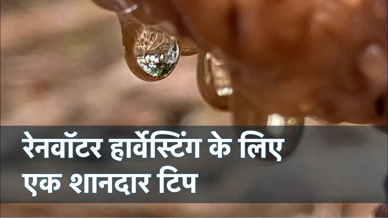 How to calculate the rainwater harvesting capacity of your house | Pin N Post |