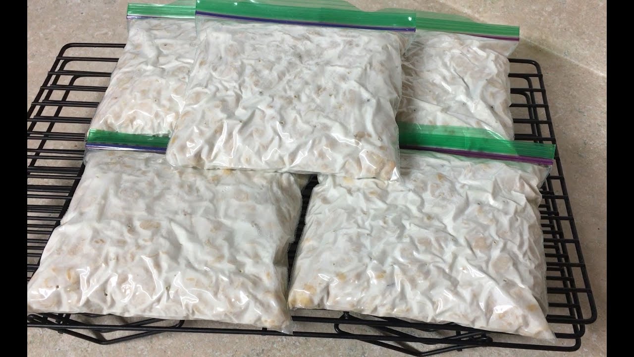 Cara Membuat Tempe