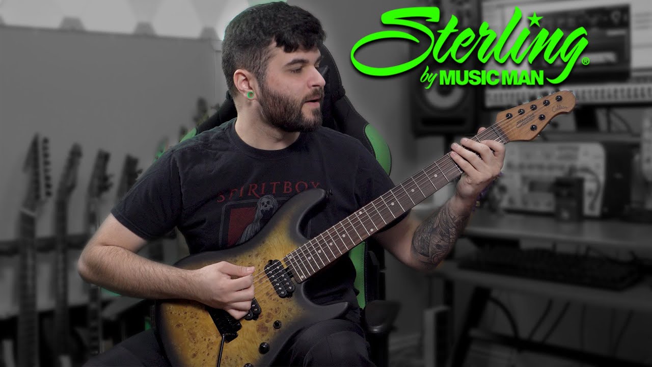 I'M NOT WORTHY!! Jason Richardson Signature 7 String Guitar by Sterling - DEMO